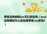 蘋果沒有越獄ipa可以安裝嗎（ipad沒有越獄怎么安裝搜蘋果,ios系統(tǒng)?）