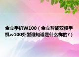 金立手機(jī)W100（金立智能雙模手機(jī)w100外型誰知道是什么樣的?）
