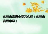 東莞市高級中學怎么樣（東莞市高級中學）