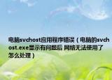 電腦svchost應(yīng)用程序錯誤（電腦的svchost.exe顯示有問題后 網(wǎng)絡(luò)無法使用了 怎么處理）