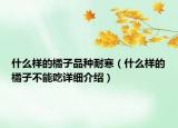 什么樣的橘子品種耐寒（什么樣的橘子不能吃詳細(xì)介紹）