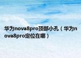 華為nova8pro頂部小孔（華為nova8pro定位在哪）