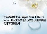 win7C磁盤上program  files下的common  files文件夾是什么有什么用里面的文件可以刪除嗎