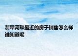翡翠河畔最近的房子銷售怎么樣誰知道呢