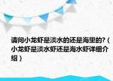 請問小龍蝦是淡水的還是海里的?（小龍蝦是淡水蝦還是海水蝦詳細介紹）