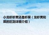 小龍蝦蝦黃還是蝦屎（龍蝦黃和屎的區(qū)別詳細介紹）