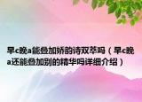 早c晚a能疊加?jì)身嵲?shī)雙萃嗎（早c晚a還能疊加別的精華嗎詳細(xì)介紹）