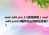 cool edit pro 2.1使用教程（cool edit pro2.0插件怎么樣解壓安裝?）