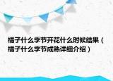 橘子什么季節(jié)開花什么時(shí)候結(jié)果（橘子什么季節(jié)成熟詳細(xì)介紹）