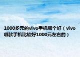 1000多元的vivo手機哪個好（vivo哪款手機比較好1000元左右的）
