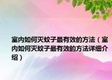 室內(nèi)如何滅蚊子最有效的方法（室內(nèi)如何滅蚊子最有效的方法詳細(xì)介紹）