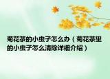 菊花茶的小蟲子怎么辦（菊花茶里的小蟲子怎么清除詳細(xì)介紹）