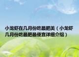 小龍蝦在幾月份吃最肥美（小龍蝦幾月份吃最肥最便宜詳細介紹）