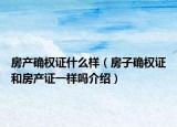 房產(chǎn)確權(quán)證什么樣（房子確權(quán)證和房產(chǎn)證一樣嗎介紹）