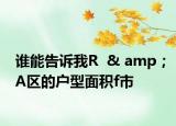誰能告訴我R  & amp；A區(qū)的戶型面積f市