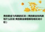 美的酷金與風(fēng)酷的區(qū)別（美的酷金和風(fēng)酷有什么區(qū)別 美的酷金跟極酷有啥區(qū)別介紹）