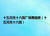 十五月亮十六圓廣場舞視頻（十五月亮十六圓）