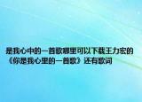 是我心中的一首歌哪里可以下載王力宏的《你是我心里的一首歌》還有歌詞