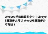 vivoy93手機(jī)屏幕多少寸（vivoy93屏幕多大尺寸 vivoy93屏幕多少寸介紹）