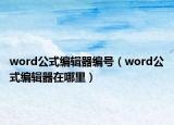 word公式編輯器編號（word公式編輯器在哪里）