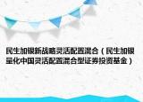 民生加銀新戰(zhàn)略靈活配置混合（民生加銀量化中國靈活配置混合型證券投資基金）
