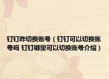 釘釘咋切換賬號（釘釘可以切換賬號嗎 釘釘哪里可以切換賬號介紹）