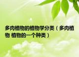 多肉植物的植物學(xué)分類（多肉植物 植物的一個(gè)種類）
