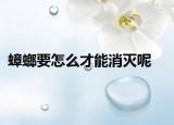 蟑螂要怎么才能消滅呢