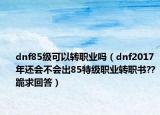 dnf85級(jí)可以轉(zhuǎn)職業(yè)嗎（dnf2017年還會(huì)不會(huì)出85特級(jí)職業(yè)轉(zhuǎn)職書??跪求回答）