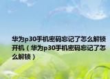 華為p30手機密碼忘記了怎么解鎖開機（華為p30手機密碼忘記了怎么解鎖）