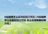 b站視頻怎么設(shè)為僅自己可見（b站視頻怎么設(shè)置僅自己可見 怎么設(shè)置觀看權(quán)限介紹）