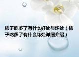 柿子吃多了有什么好處與壞處（柿子吃多了有什么壞處詳細介紹）