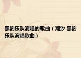 黑豹樂(lè)隊(duì)演唱的歌曲（潮汐 黑豹樂(lè)隊(duì)演唱歌曲）