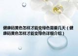 健康碼黃色怎樣才能變綠色需要幾天（健康碼黃色怎樣才能變綠色詳細介紹）