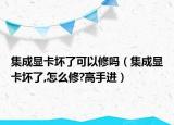 集成顯卡壞了可以修嗎（集成顯卡壞了,怎么修?高手進）