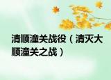 清順潼關(guān)戰(zhàn)役（清滅大順潼關(guān)之戰(zhàn)）