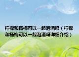 檸檬和楊梅可以一起泡酒嗎（檸檬和楊梅可以一起泡酒嗎詳細介紹）