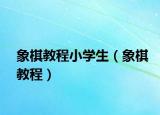 象棋教程小學(xué)生（象棋教程）