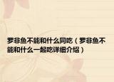 羅非魚不能和什么同吃（羅非魚不能和什么一起吃詳細介紹）
