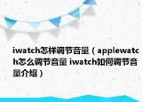 iwatch怎樣調(diào)節(jié)音量（applewatch怎么調(diào)節(jié)音量 iwatch如何調(diào)節(jié)音量介紹）