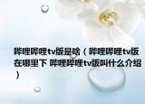 嗶哩嗶哩tv版是啥（嗶哩嗶哩tv版在哪里下 嗶哩嗶哩tv版叫什么介紹）