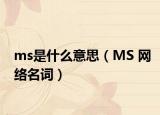 ms是什么意思（MS 網(wǎng)絡名詞）