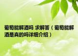 葡萄能解酒嗎 求解答（葡萄能解酒是真的嗎詳細(xì)介紹）