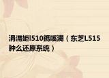 涓滆姖l510鎷嗘満（東芝L515腫么還原系統(tǒng)）