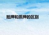 抵押和質押的區(qū)別