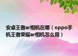 安卓王者ar相機(jī)在哪（oppo手機(jī)王者榮耀ar相機(jī)怎么用）