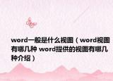 word一般是什么視圖（word視圖有哪幾種 word提供的視圖有哪幾種介紹）