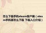 怎么下載手機(jī)steam客戶端（steam手機(jī)版怎么下載 下載入口介紹）