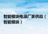 智能模塊電源廠家供應(yīng)（智能模塊）