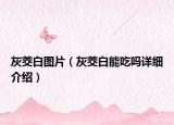灰茭白圖片（灰茭白能吃嗎詳細(xì)介紹）